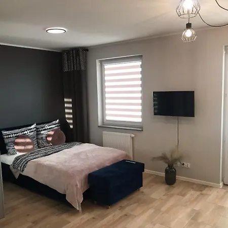 Holenderski Z Prywatnym Miejscem Postojowym W Garazu