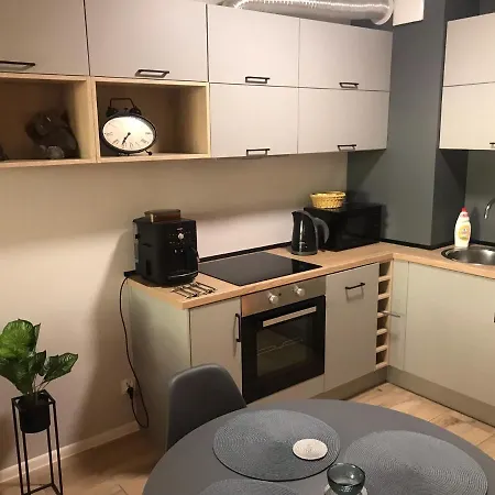 Holenderski Z Prywatnym Miejscem Postojowym W Garazu