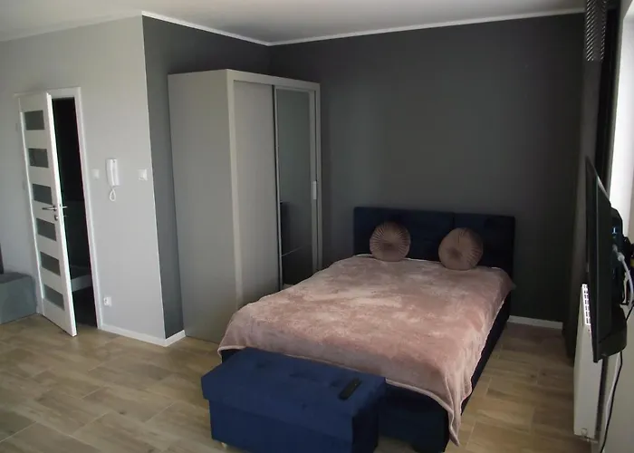 Apartman Holenderski Z Prywatnym Miejscem Postojowym W Garazu