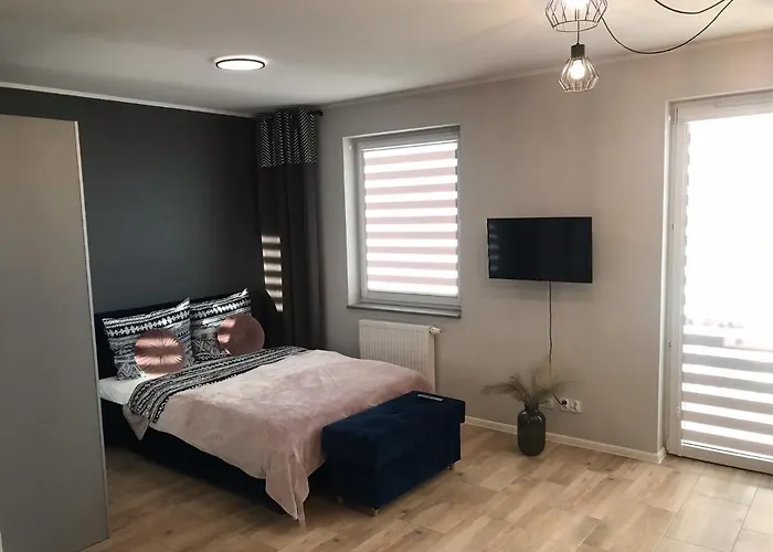 Holenderski Z Prywatnym Miejscem Postojowym W Garazu