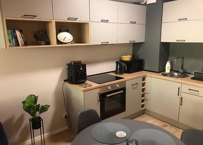 Holenderski Z Prywatnym Miejscem Postojowym W Garazu